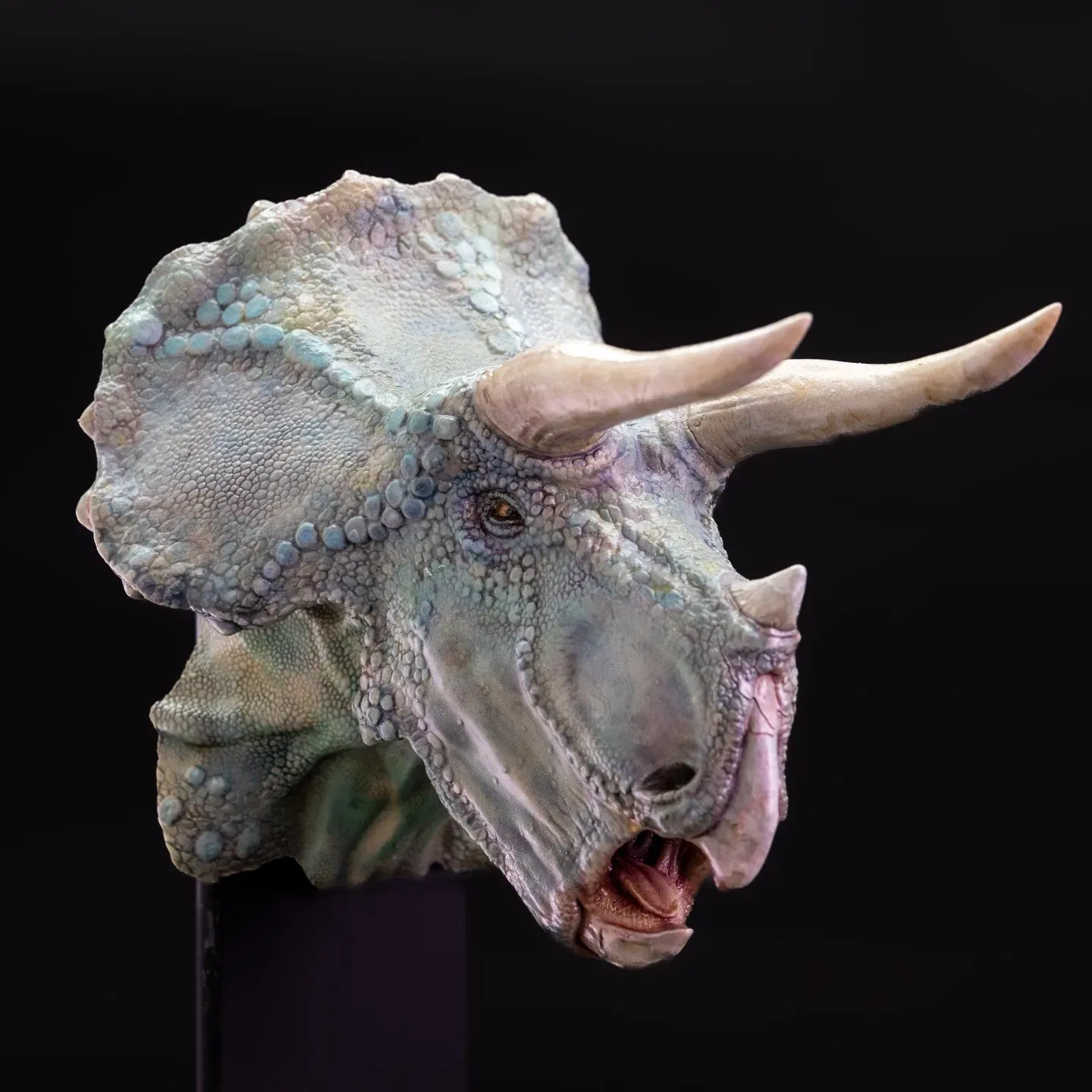 Blue Triceratops, painted by Heavy Handed