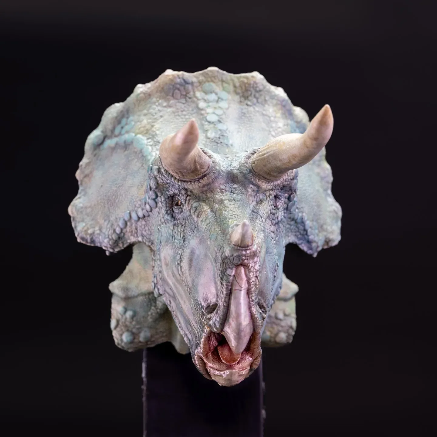 Blue Triceratops — view 2