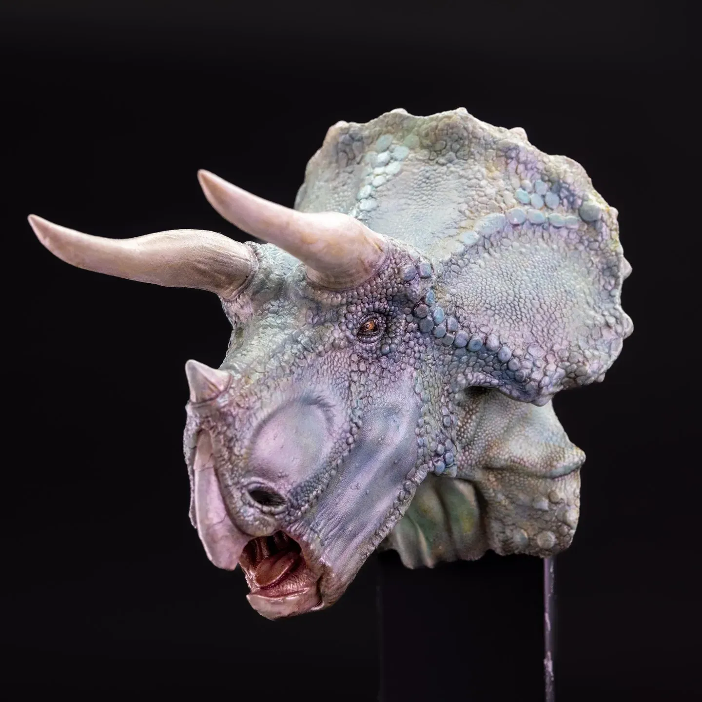 Blue Triceratops — view 3