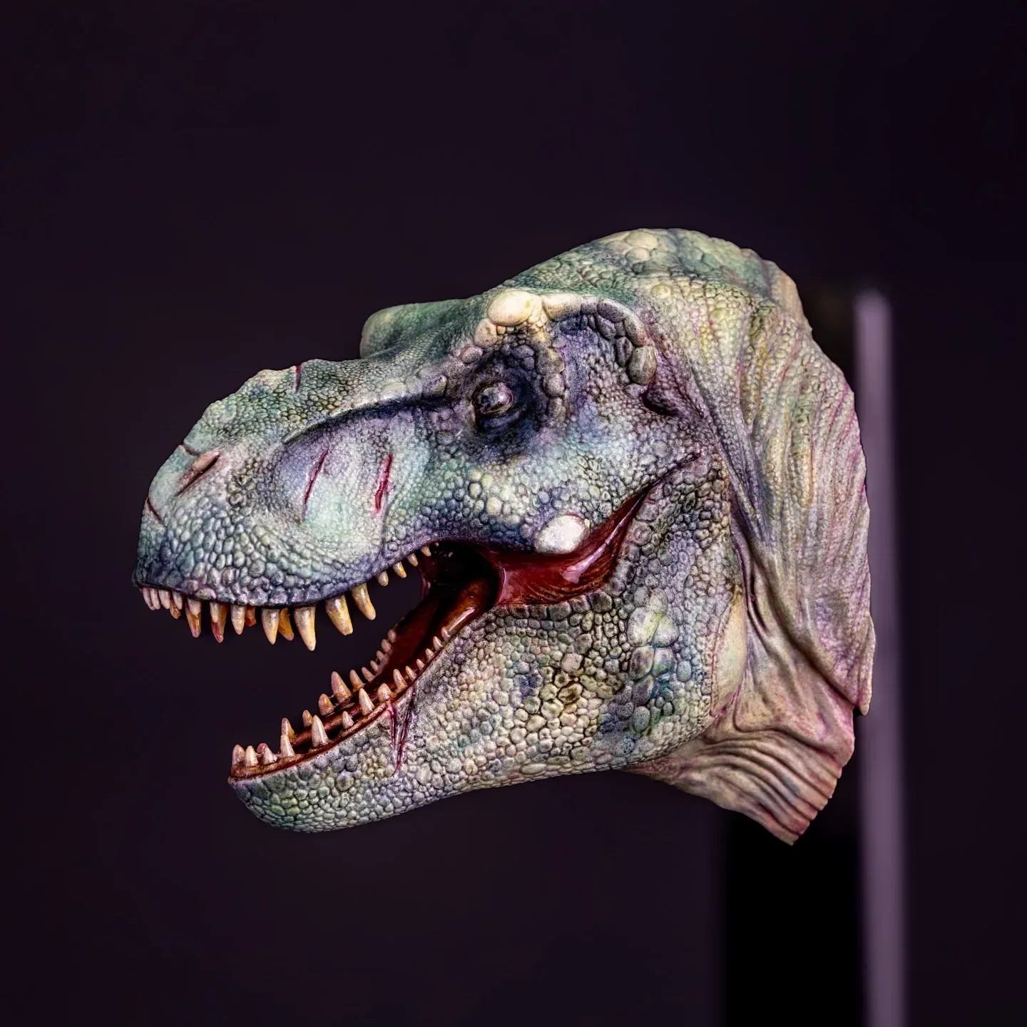 Komodo T-Rex — view 4