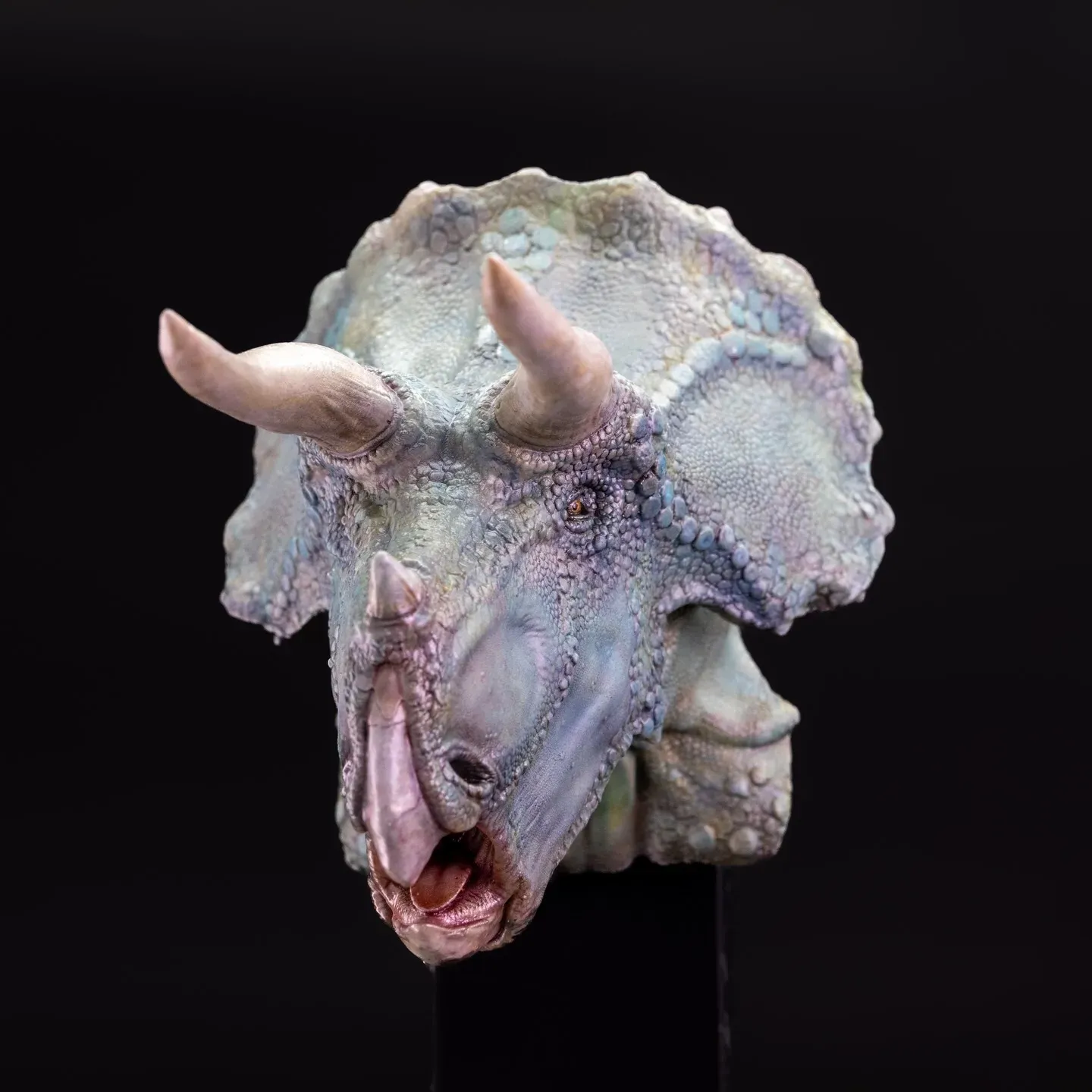 Blue Triceratops — view 4