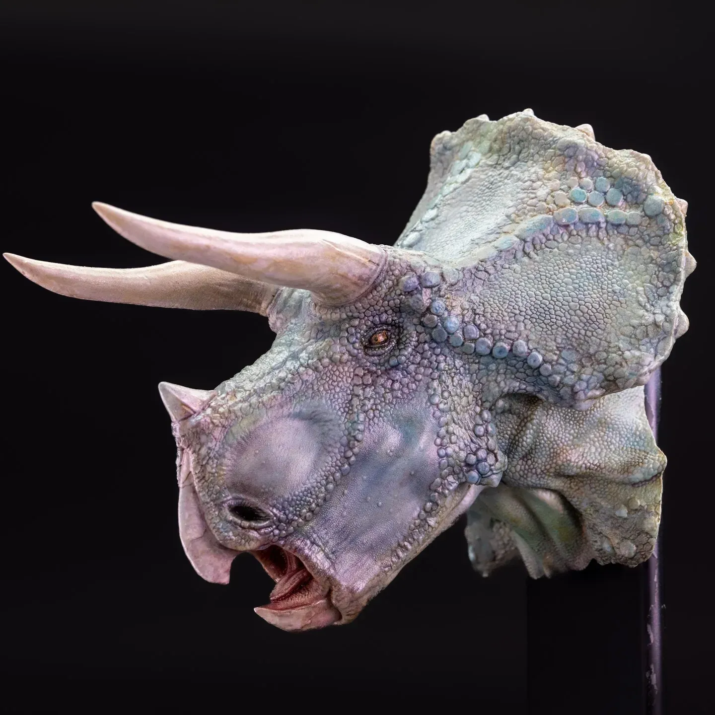 Blue Triceratops — view 5