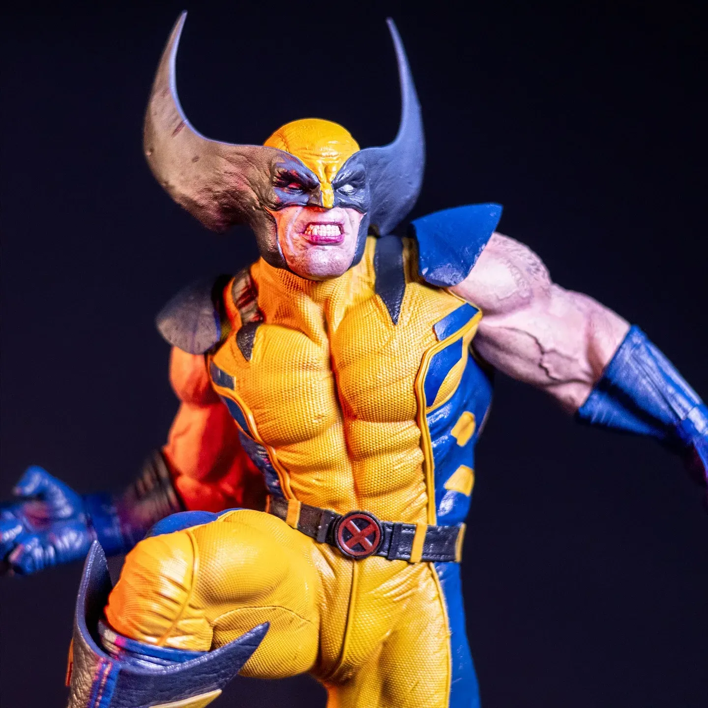Wolverine — view 6