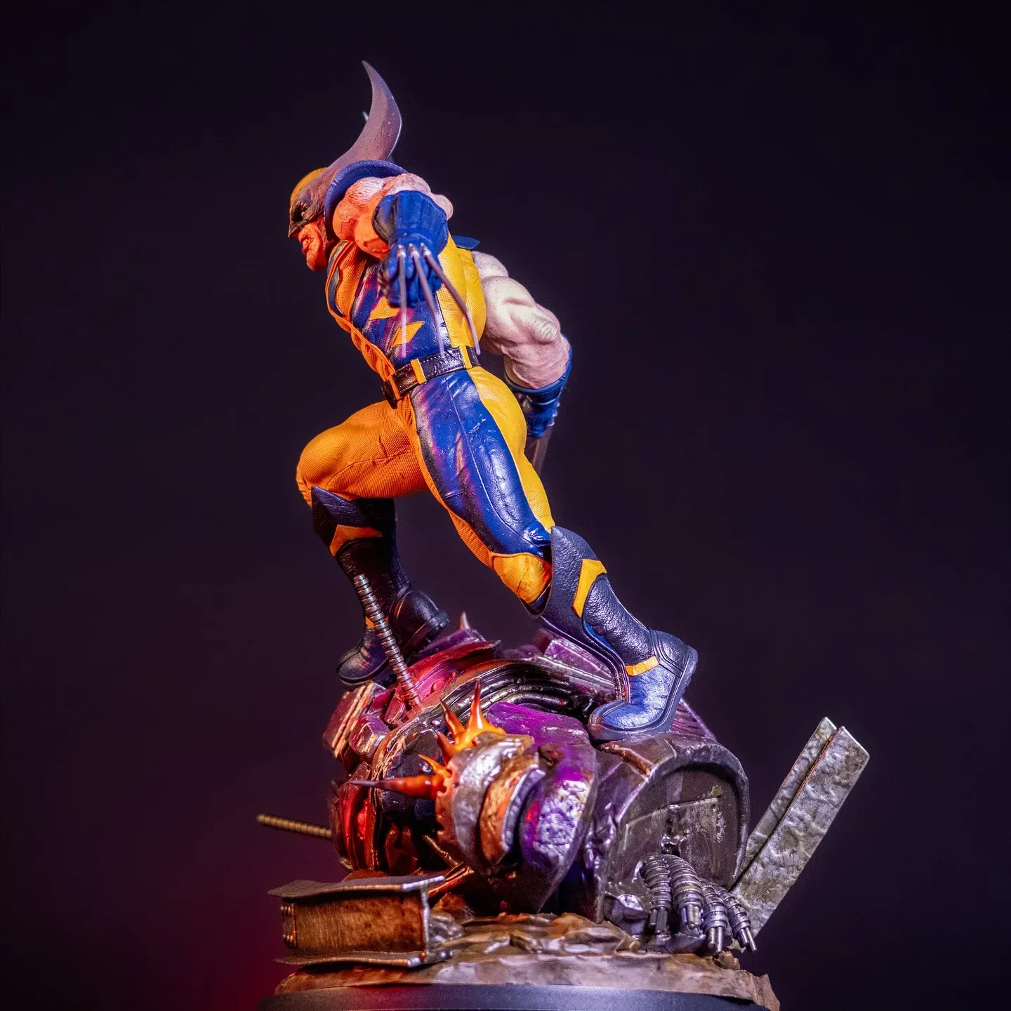 Wolverine — view 10
